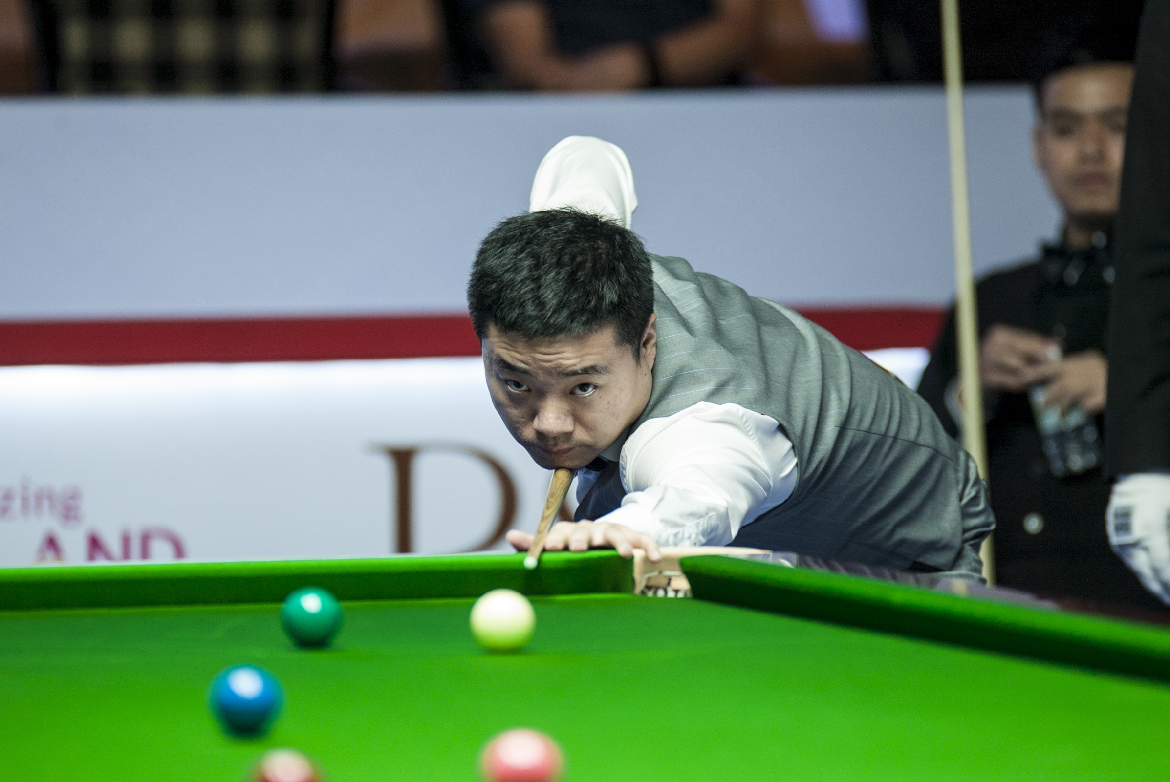 更是对运动 更是对运动