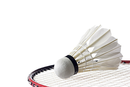 不仅限制了 不仅限制了