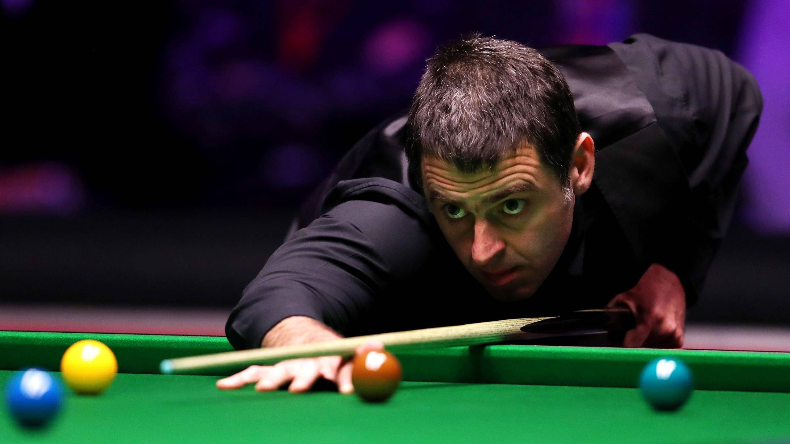 都可能承担 都可能承担