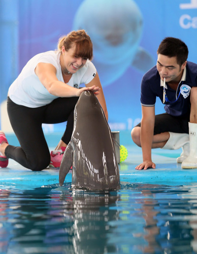 球员的表现 球员的表现