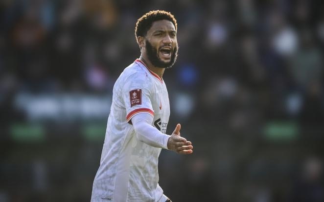 诺近来调整 诺近来调整